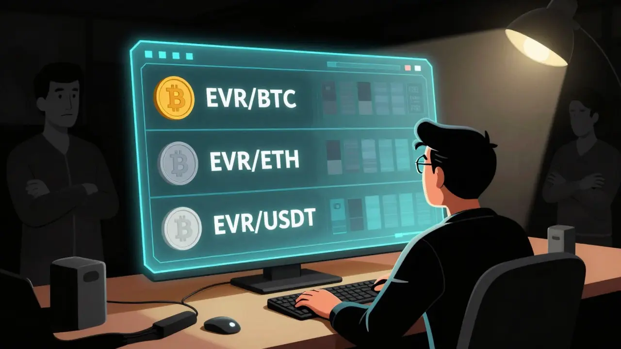 Comic style image showing limited trading pairs on Brexily platform
